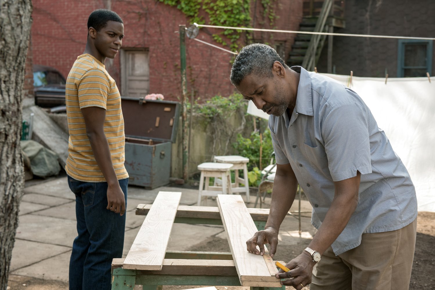 Fences -2016