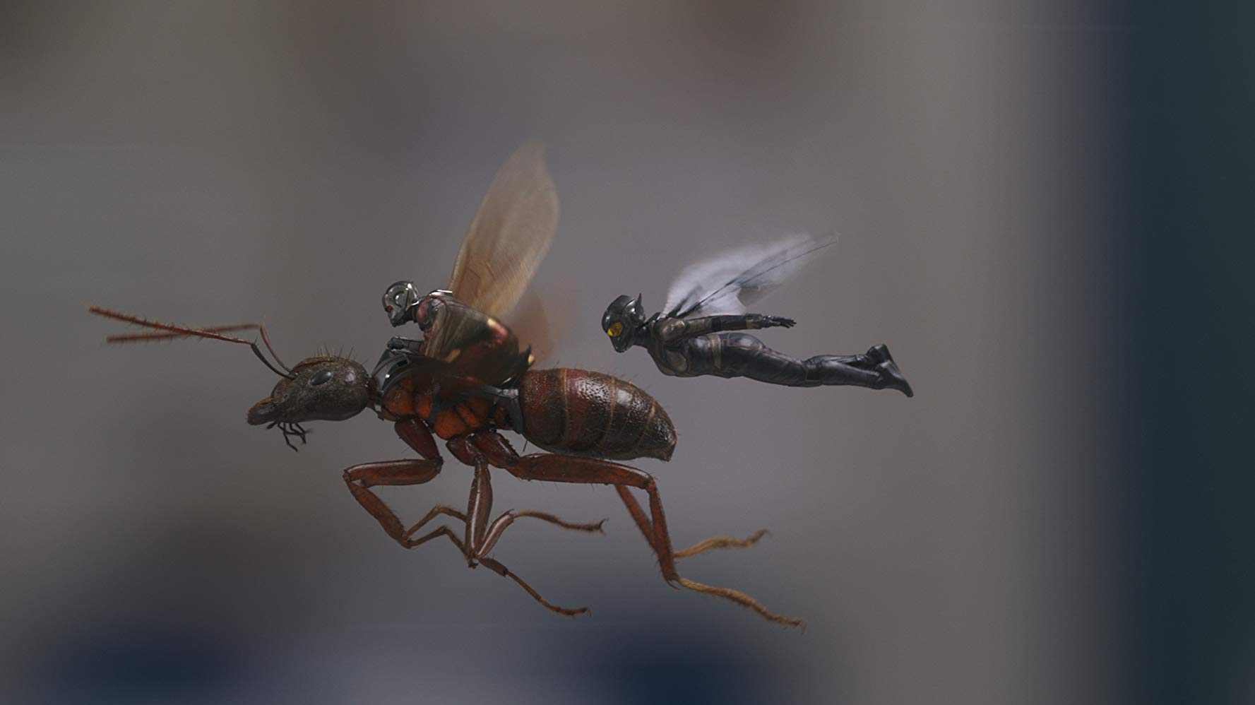 Ant-Man and the Wasp (2018) - Movie Still