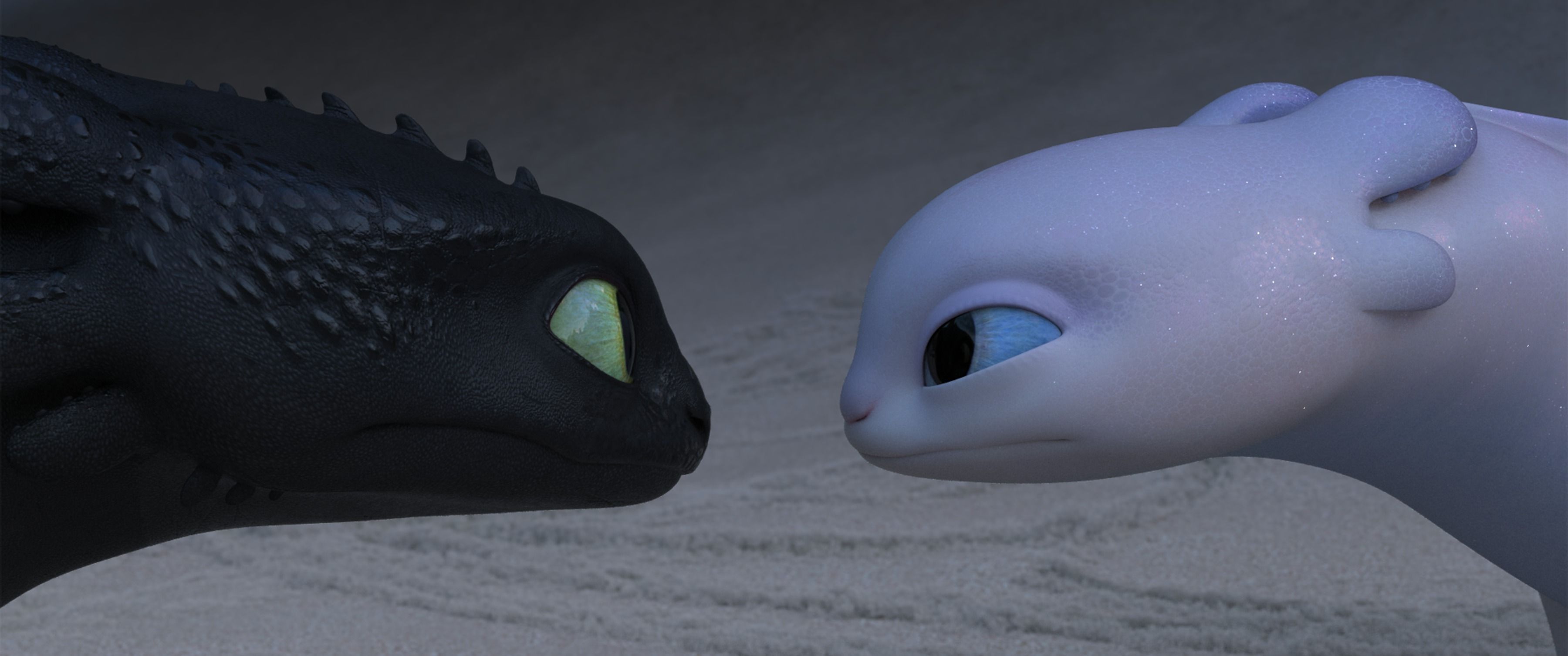 How to Train Your Dragon: The Hidden World (2019) - Movie Still