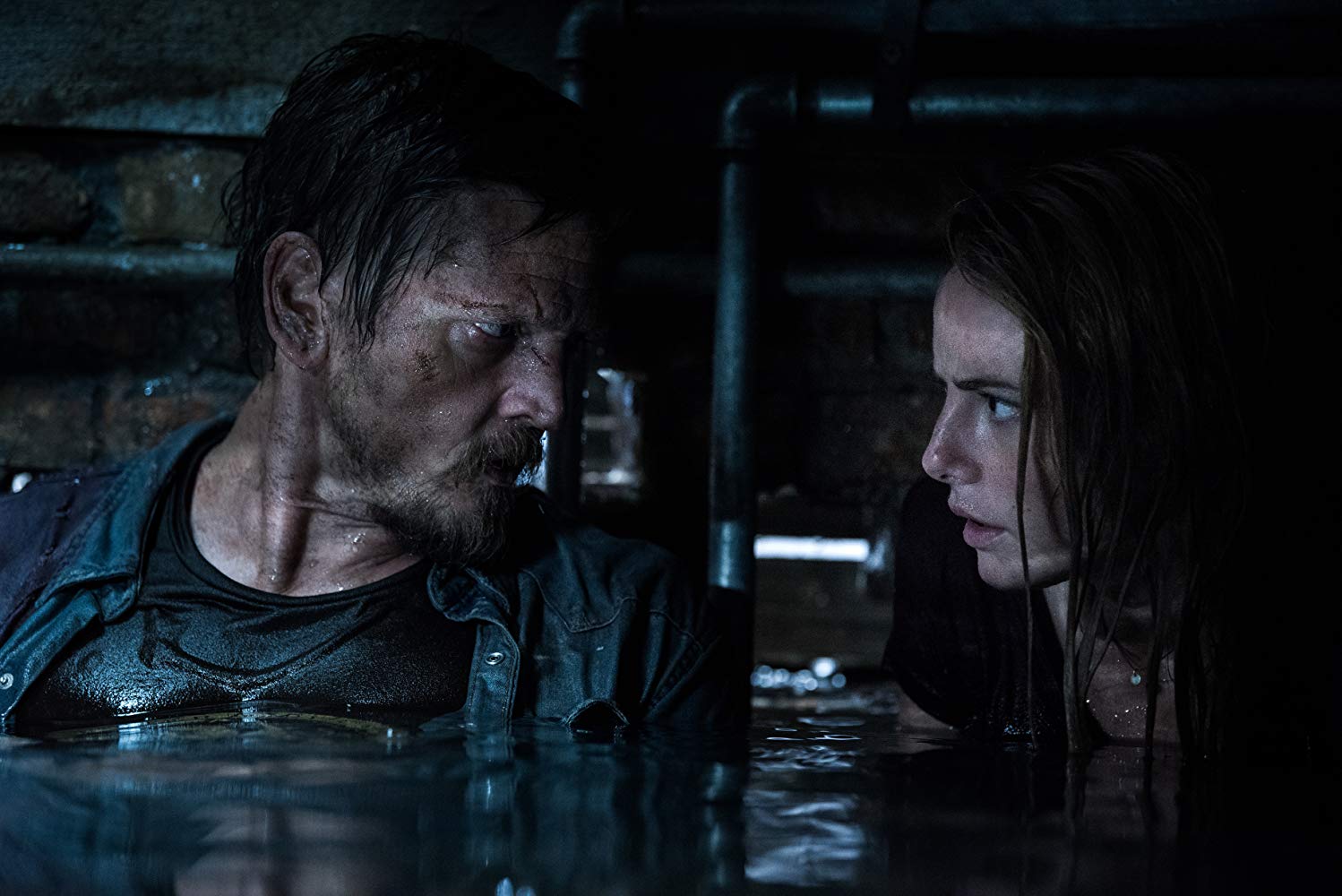 Crawl (2019) - Movie Still